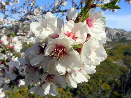 Villa La Cigale, Maussane Les Alpilles Esterno foto